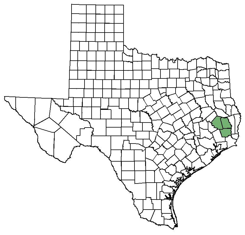 Distribution map of Texas trailing phlox